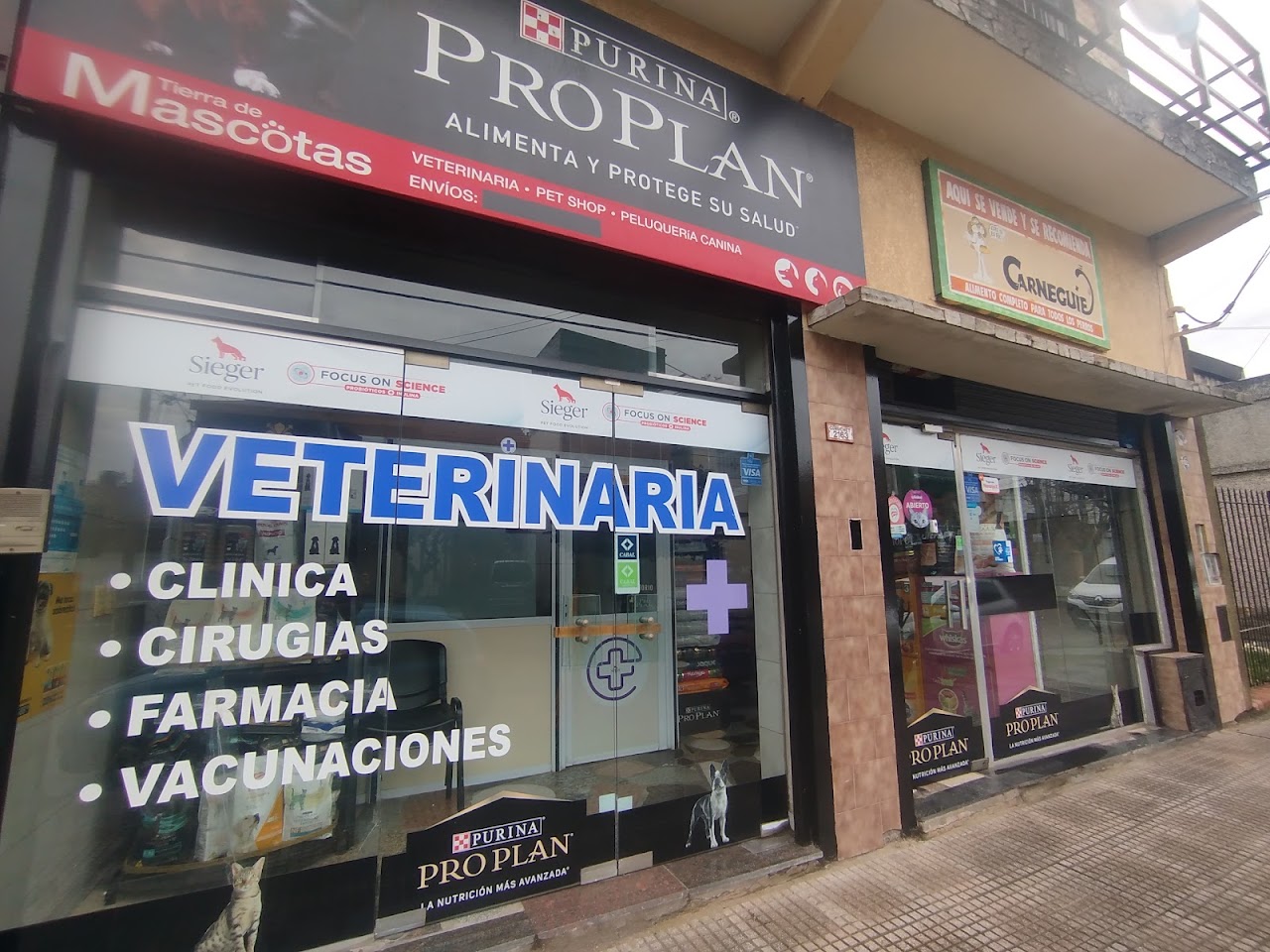 Fachada exterior de Gabriel Pet y Aves Castelar con vitrina moderna y atención cálida