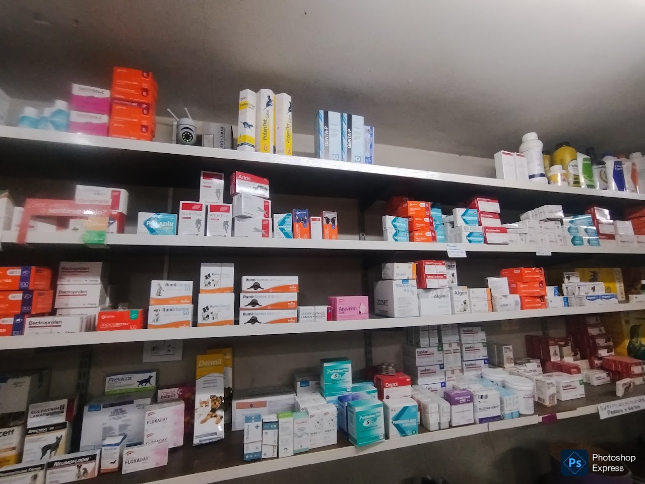 Interior del Pet Shop y Farmacia de Gabriel Pet y Aves Castelar con góndolas surtidas